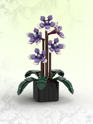 Cape Primrose (BT014)