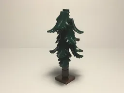 Conifer