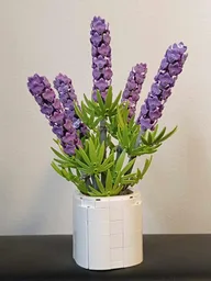 Lavender (BT021)