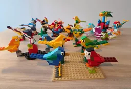 11020 Birds