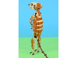 Meerkat