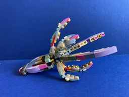 Squid Model