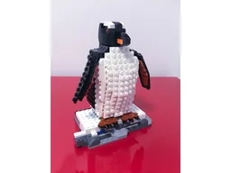 Gentoo Penguin