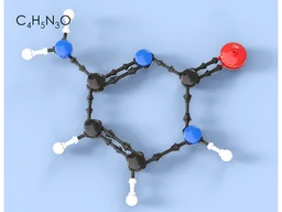 Nucleotides (DNA)
