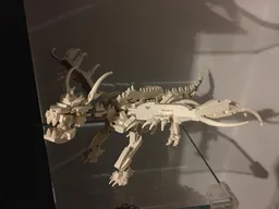 Skeleton Dragon
