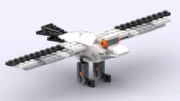 Seagull