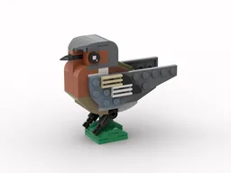 Simple Chaffinch