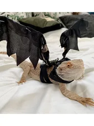 Bearded Dragon from 31058