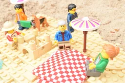 The beach