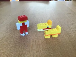 30503 dog