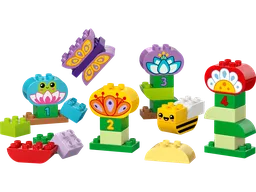 Creative Garden & Flowers