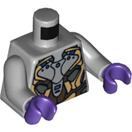 Torso Gold, Dark Brown and Silver Armor Print, Light Bluish Gray Arms, Dark Purple Hands / Light Bluish Gray