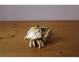 Cute Crab