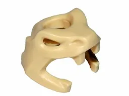 Headdress Snake Skull