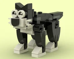Tuxedo Cat