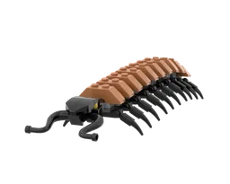 11 Centipede
