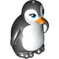 Animal, Bird, Penguin with Blue Eyes, Orange Beak and Black Feathers Print / Black