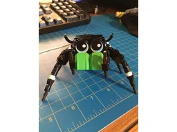 Cute Jumping Spider