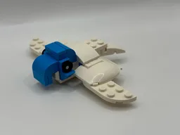 Arctic Sea Turtle