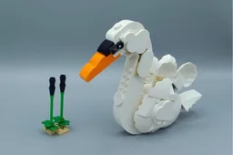 31133 Swan