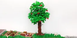 Apple tree