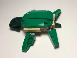 31058- Turtle