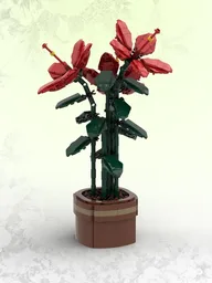 Hibiscus (BT010)