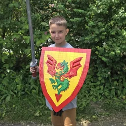 Dragon Knights Shield