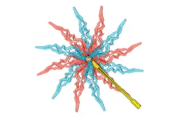 Pinwheel