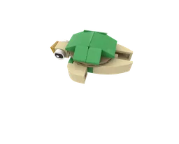 01 Turtle