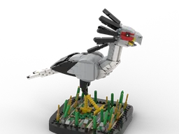 Secretary Bird