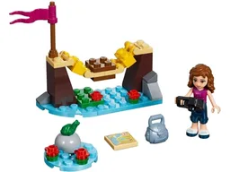 Adventure Camp Bridge