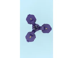 Iris Flower