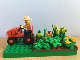 Mini Farm
