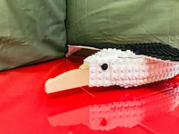 Laysan Albatross