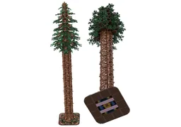 Redwood Tree (Sequoia sp.)