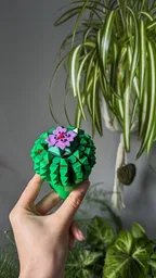 Flowering Potted Succulent Plant