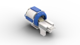 MRI Scan