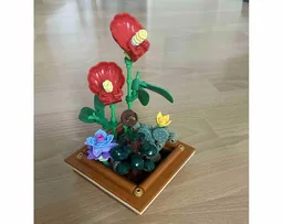 Tiny plants in a bonsai pot