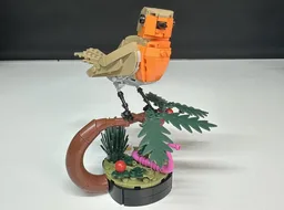 European Robin Bird