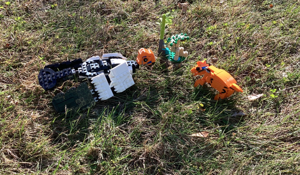 Lego Argentavis and Diadiaphorus