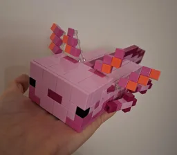 Axolotl