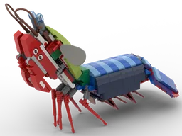 Peacock Mantis Shrimp