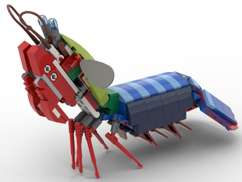 Lego Peacock Mantis Shrimp