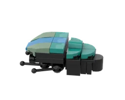 17 Scarab beetle