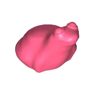 Animal, Frog / Coral