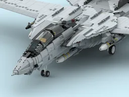 F-14 Tomcat