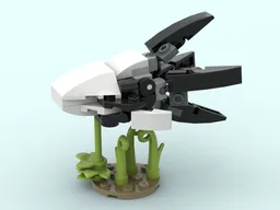 Skylar Squid