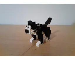 Tuxedo Cat