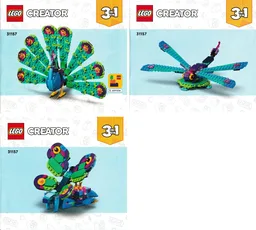 Exotic Peacock